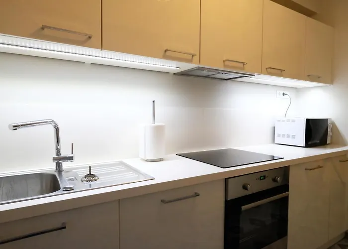 - 2 Bedroom On Old Town Main Street Viru * タリン